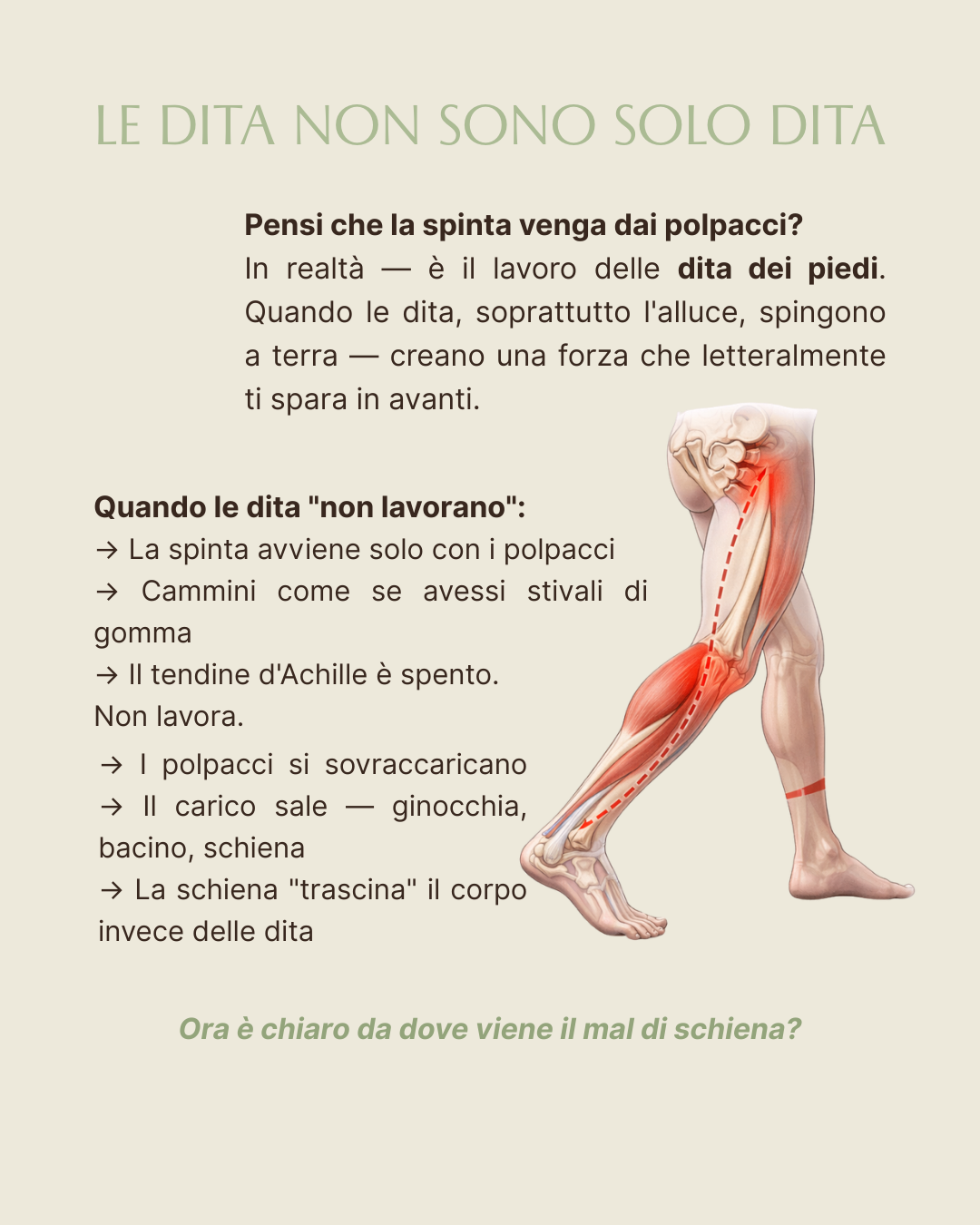 Le dita non sono solo dita