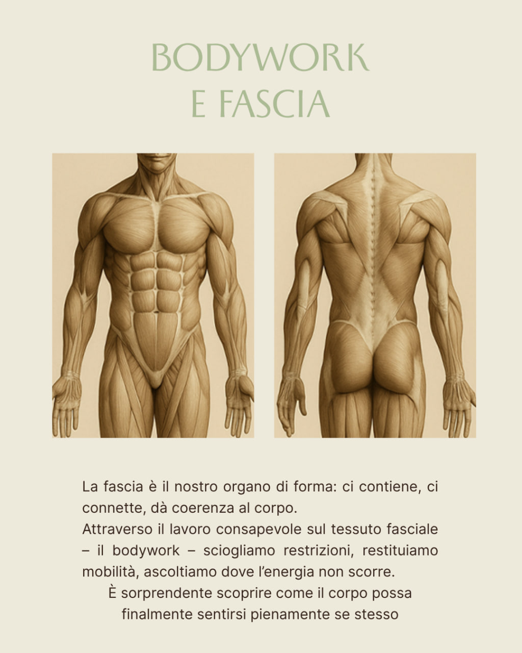 Bodywork e Fascia